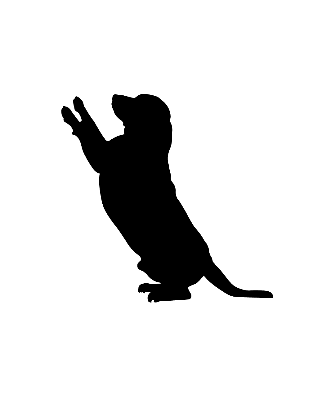 Dog illustration inviting you to foster